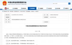 审计的价值守护：审计行业亟待重拾“看门人”责任