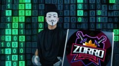 价值解说之ZORRO，数字时代先行者